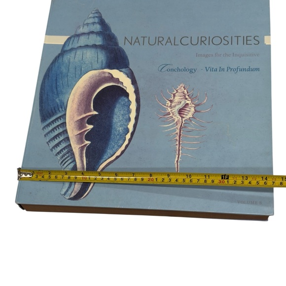 Natural Curiosities Conchology Vita In Profundum Art Print Collection 1st Ed - Picture 4 of 12